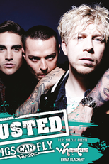Busted: Pigs Can Fly Tour (Busted: Pigs Can Fly Tour)