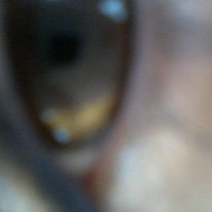 Foto de perfil de rerunrun