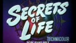 Trailer: Secrets of Life