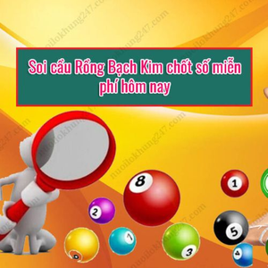 Foto de perfil de Soi cầu rồng bạch kim