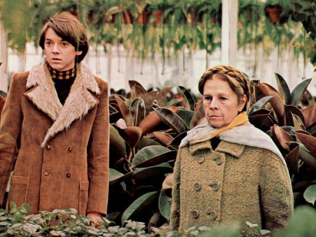 Bud Cort - Foto 2
