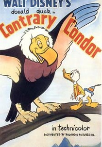 Contrary Condor (Contrary Condor)