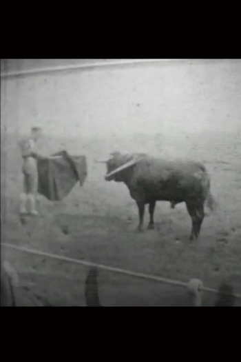 Poster de Curta Corrida (1929)