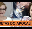 Programa Despertos