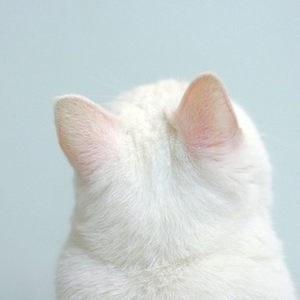 Foto de perfil de juliane