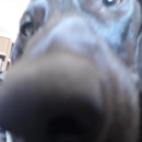 Foto de perfil de Leo