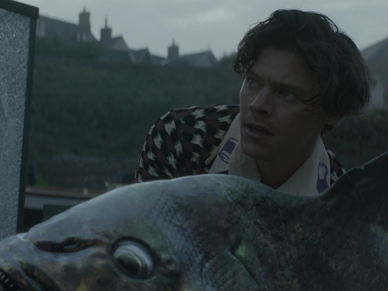 Foto 1 de Harry Styles: Adore You