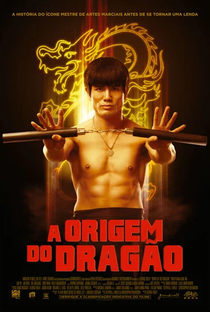 A Origem do Dragão - Poster / Capa / Cartaz - Oficial 3