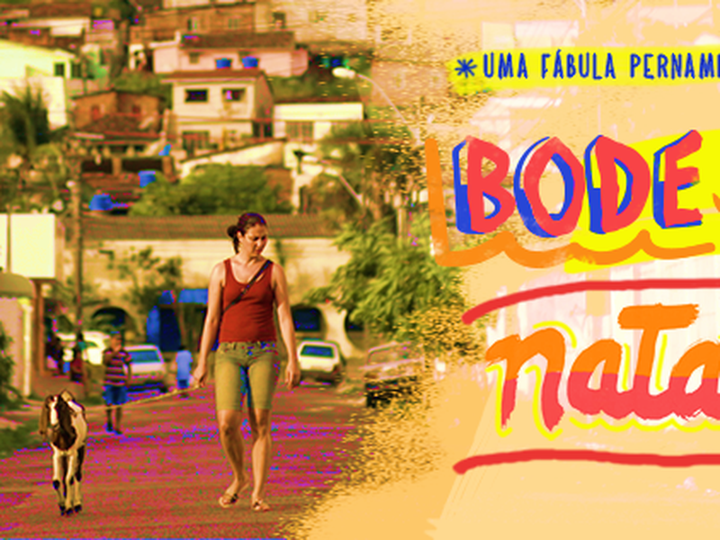 Foto 3 de Bode de Natal