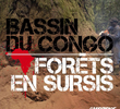 Congo: A Floresta Ameaçada