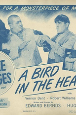 Os Três Patetas - Seu Cabeção Vale Um Milhão (The Three Stooges - A Bird in The Head)