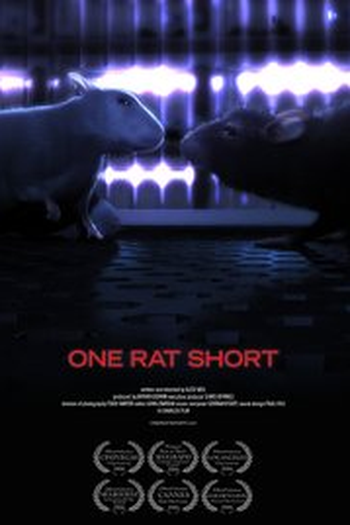 Poster de Curta One Rat Short (2006)