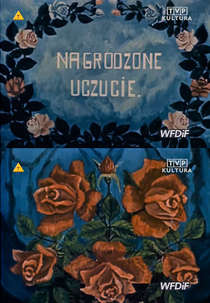 Love Requited (Nagrodzone uczucia)