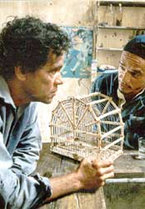 Cega Seca (Cega Seca)