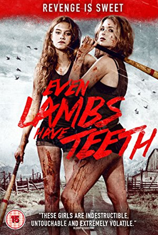 Poster 2 de Filme Mulheres Perigosas (2015)