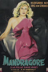 Mandrágora (Alraune)