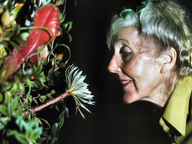 Foto 4 de Margaret Mee e a Flor da Lua