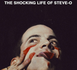 No pain in vain - The shocking life of Steve-O