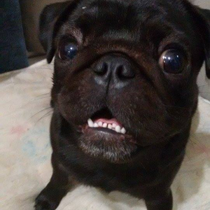 Foto de perfil de Renata