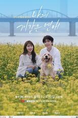 My Woofy Poofy Love (나의 개 같은 연애)