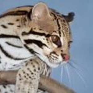 Foto de perfil de Eduardo