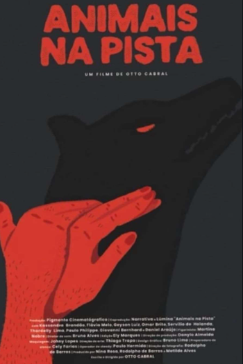  de Curta Animais na Pista (2021)