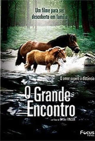 Poster 1 de Filme O Grande Encontro (2006)