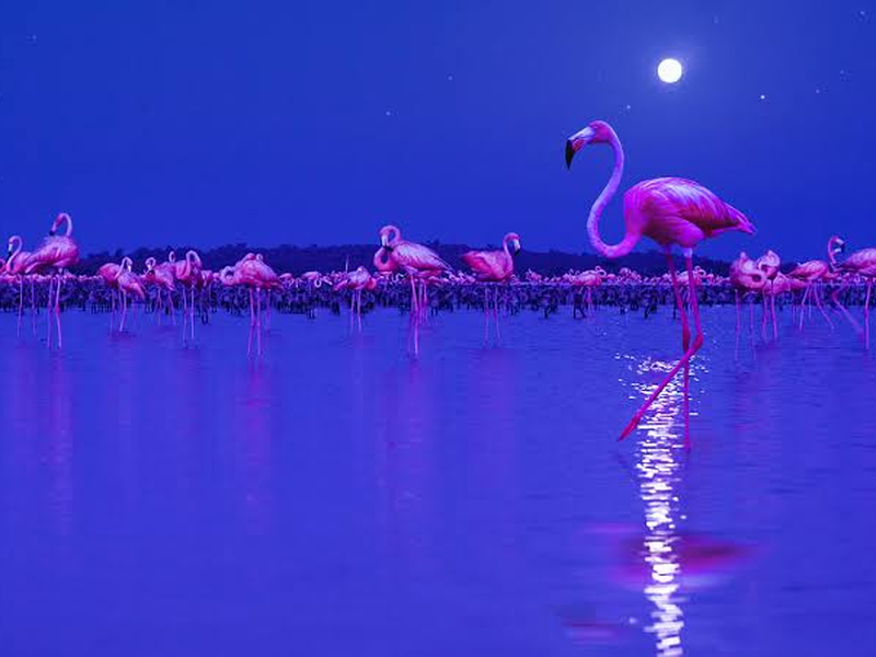 Foto 7 de A Terra à Noite