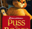 Gato de Botas Curtas