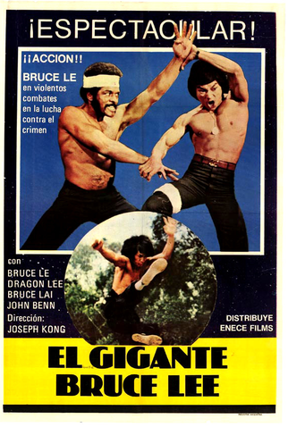 Poster 4 de Filme Os Clones de Bruce Lee (1981)