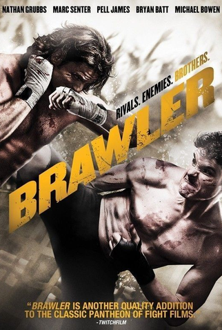 Poster 2 de Filme Brawler – Duelo de Sangue (2011)