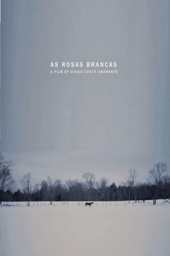 Poster de Curta As Rosas Brancas (2013)