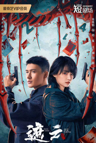 Poster 1 de Série Silver Lining (2025)