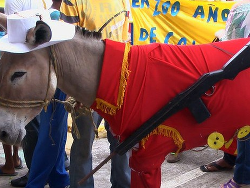 Foto 5 de Donkey Love