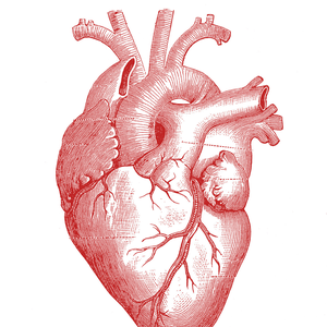 Foto de perfil de Luiza Senna