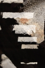 Primitive Cinema (Primitive Cinema)
