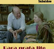 Bara Prata Lite 