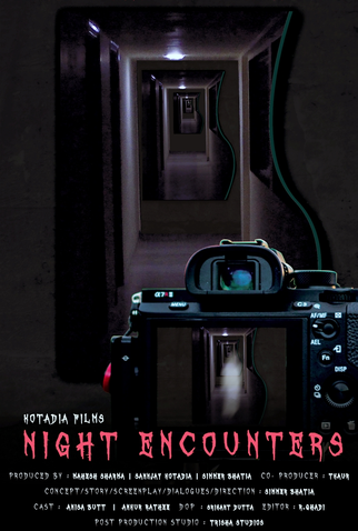 Poster 1 de Filme Night Encounters (2023)
