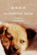 A Condição Canina (狗的状况)