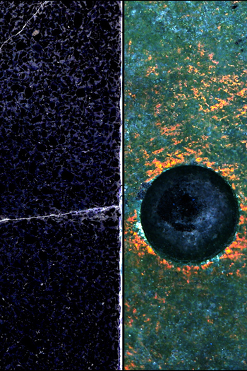 Poster de Curta All Rot (2015)