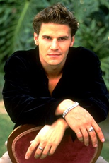 David Boreanaz
