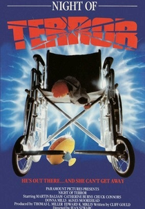 Quando Menos se Espera (Night of Terror)