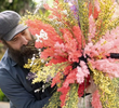 Floralwork Show
