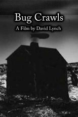 Bug Crawls (Bug Crawls)