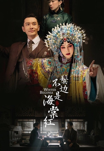 Winter Begonia (Bin Bian Bu Shi Hai Tang Hong)