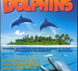 Dolphins