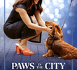 Paws in The City