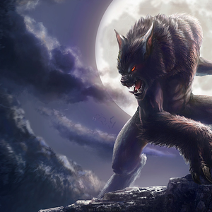 Foto de perfil de Arcanjo Gonzalez Neto