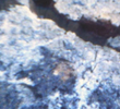 Volcano