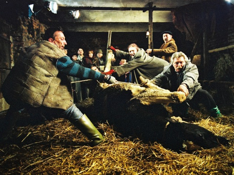 Foto 1 de (A)Torzija